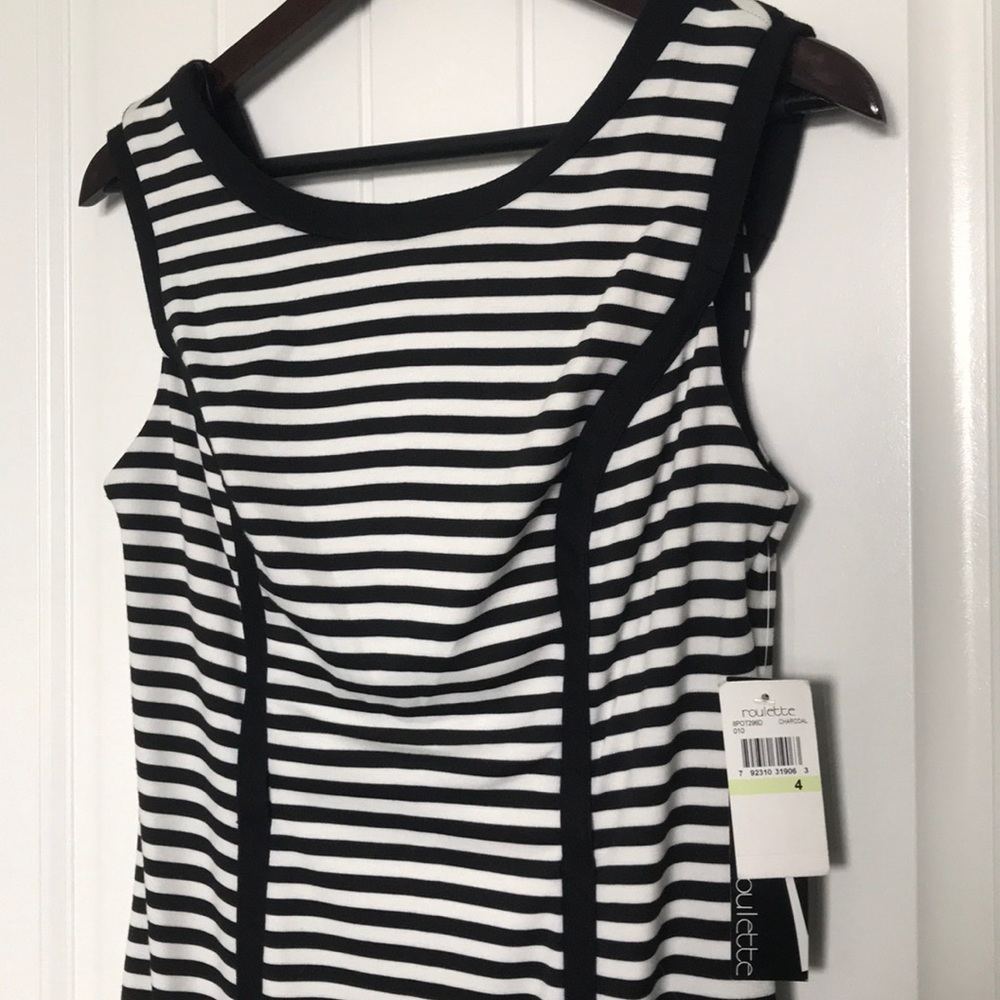 NWT Roulette striped sheath dress